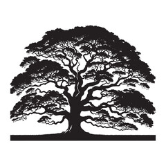 Elm Tree Vector Silhouette, Majestic Nature Tree Outline, Sturdy and Elegant Tree Clipart for Wall Art, Logos, Stickers, Apparel, Digital Prints, Crafts, and Posters.