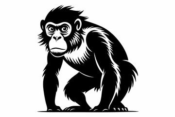 bonobo silhouette line art vector illustration