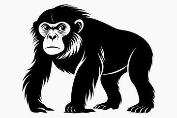 bonobo silhouette line art vector illustration
