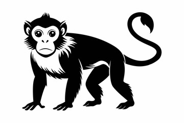 capuchin monkey silhouette line art vector illustration