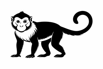 capuchin monkey silhouette line art vector illustration