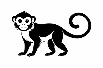 capuchin monkey silhouette line art vector illustration