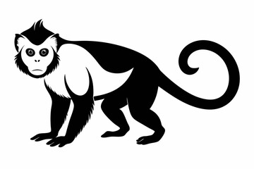 capuchin monkey silhouette line art vector illustration