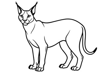 caracal silhouette line art vector illustration