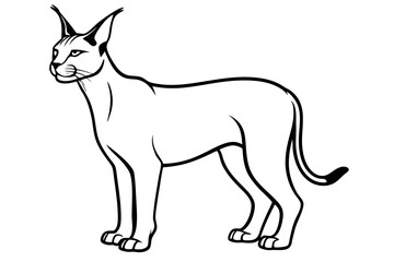 caracal silhouette line art vector illustration