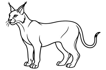 caracal silhouette line art vector illustration