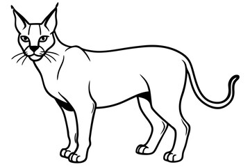 caracal silhouette line art vector illustration