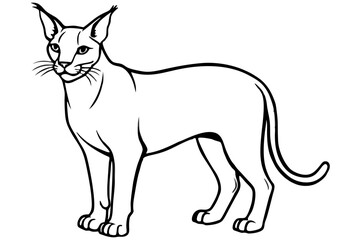 caracal silhouette line art vector illustration