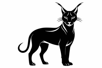 caracal silhouette line art vector illustration