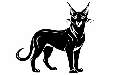 caracal silhouette line art vector illustration