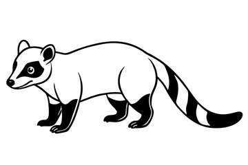 coati silhouette line art vector illustration