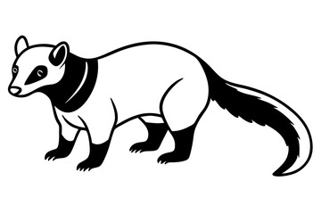 coati silhouette line art vector illustration
