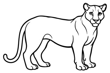 cougar silhouette line art vector illustration