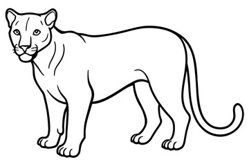 cougar silhouette line art vector illustration