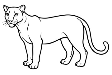 cougar silhouette line art vector illustration