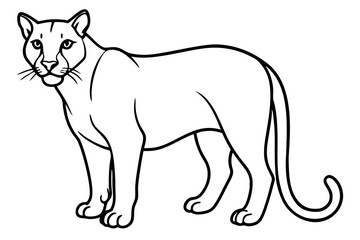 cougar silhouette line art vector illustration