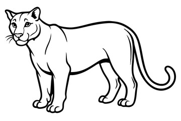 cougar silhouette line art vector illustration