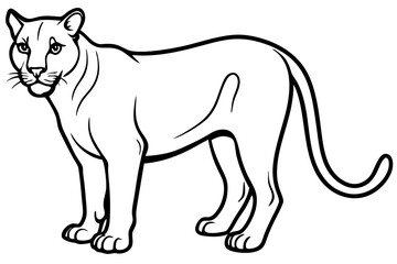 cougar silhouette line art vector illustration