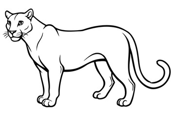 cougar silhouette line art vector illustration