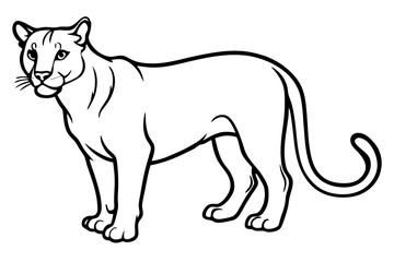 cougar silhouette line art vector illustration