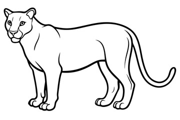cougar silhouette line art vector illustration