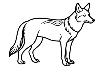 coyote silhouette line art vector illustration
