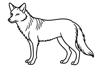 coyote silhouette line art vector illustration