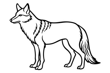 coyote silhouette line art vector illustration