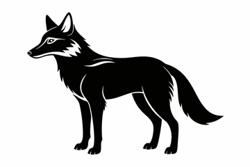 coyote silhouette line art vector illustration