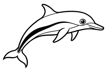 Obraz premium dusky dolphin silhouette line art vector illustration