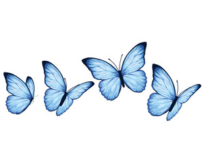 design blu BUTTERFLY art.eps