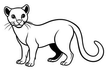 fossa silhouette line art vector illustration