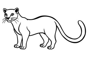 fossa silhouette line art vector illustration