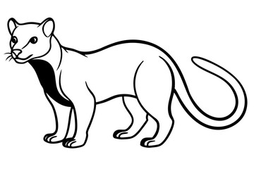 fossa silhouette line art vector illustration
