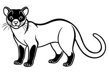 fossa silhouette line art vector illustration