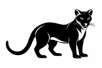 fossa silhouette line art vector illustration