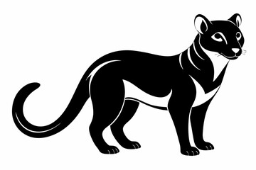 fossa silhouette line art vector illustration
