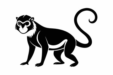 guenon silhouette line art vector illustration