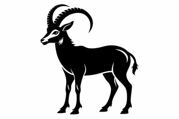 ibex silhouette line art vector illustration
