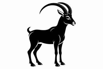 ibex silhouette line art vector illustration