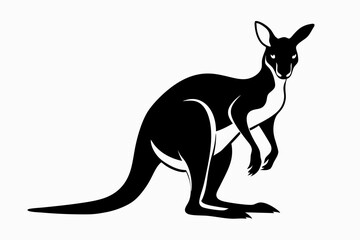 kangaroo silhouette line art vector illustration