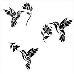 Obraz premium Three Hummingbird Vector Illustrations Flying Flowers Graphic