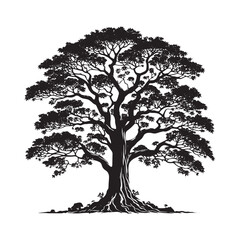 Obraz premium Teak Tree Vector Silhouette, Elegant Hardwood Tree Outline, Nature-Inspired Clipart for Wall Art, Logos, Stickers, Apparel, Digital Prints, Crafts, Posters, and Home Decor.