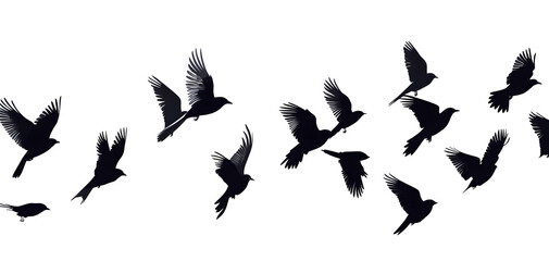 Obraz premium Flying birds silhouettes pattern wallpaper. PNG transparent. isolated bird flying. tattoo design. template for card, package, and wallpaper.