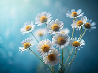 Fototapeta premium Minimalist Chamomile Border on Blue: Copy Space for Text & Design