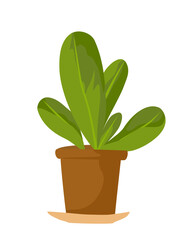 Plant In Pot Illustration 