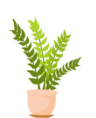 Plant In Pot Illustration 