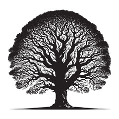 Sycamore Tree Vector Silhouette, Majestic Tree Outline, Nature-Inspired Clipart for Wall Art, Logos, Stickers, Apparel, Digital Prints, Crafts, Posters, and Home Decor.