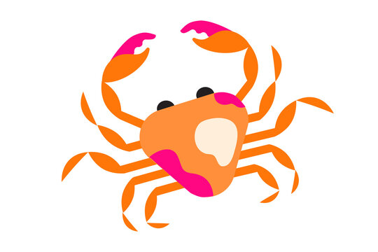 Colorful cartoon crab illustration in vibrant orange and hot pink on white background. Minimalist flat design sea creature with stylized claws and simple shapes perfect for children's content, marine 