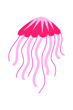 Pink jellyfish illustration in minimalist flat design style. Vibrant hot pink and soft pink marine creature with flowing tentacles on white background. Perfect for ocean themes, children's content, 